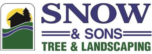 Snow & Sons logo